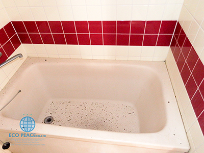 リフォーム前/ライオンズマンション浴室